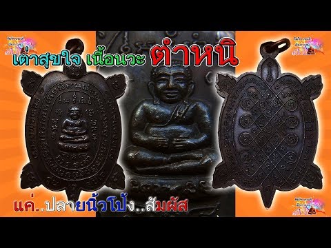 เต่าสุขใจนวะ