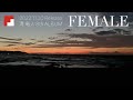 清 竜人 - 8th ALBUM『FEMALE』Teaser