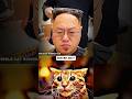 Kim Jom 💀#cat #funny #ronaldo #shorts