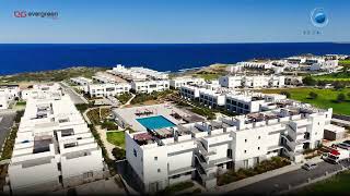 Famous February 2026, Construction Update Video Wealth