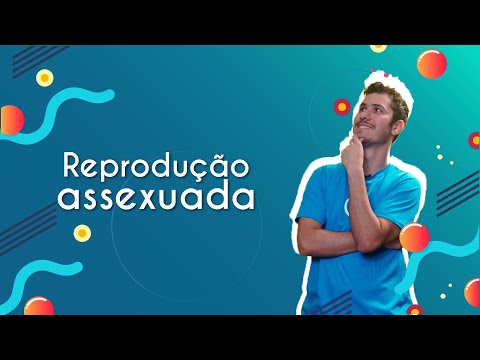 Vídeo: Os lagartos são assexuados?