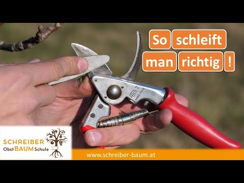 Video: Kann man eine Gartenschere mit einem Messerschärfer schärfen?