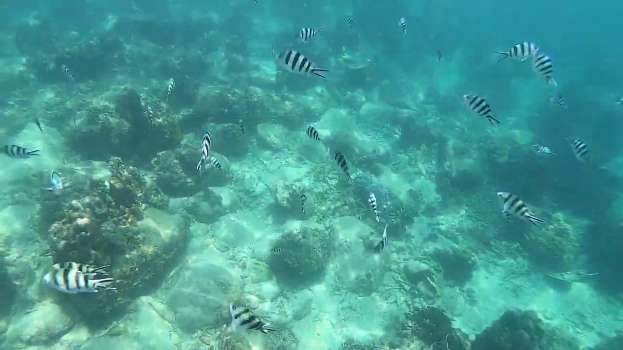 Koh Tao Snorkeling ~ Aow Leuk Bay #1