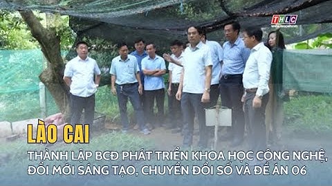 Thành lập ban chỉ đạo phát triển khoa học công nghệ, đổi mới sáng tạo, chuyển đổi số và Đề án 06
