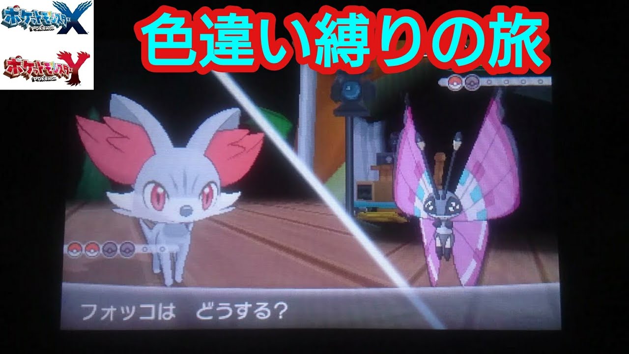 6 ポケモンxy色違い縛り Vsビオラ ポケモン関連情報のまとめ動画
