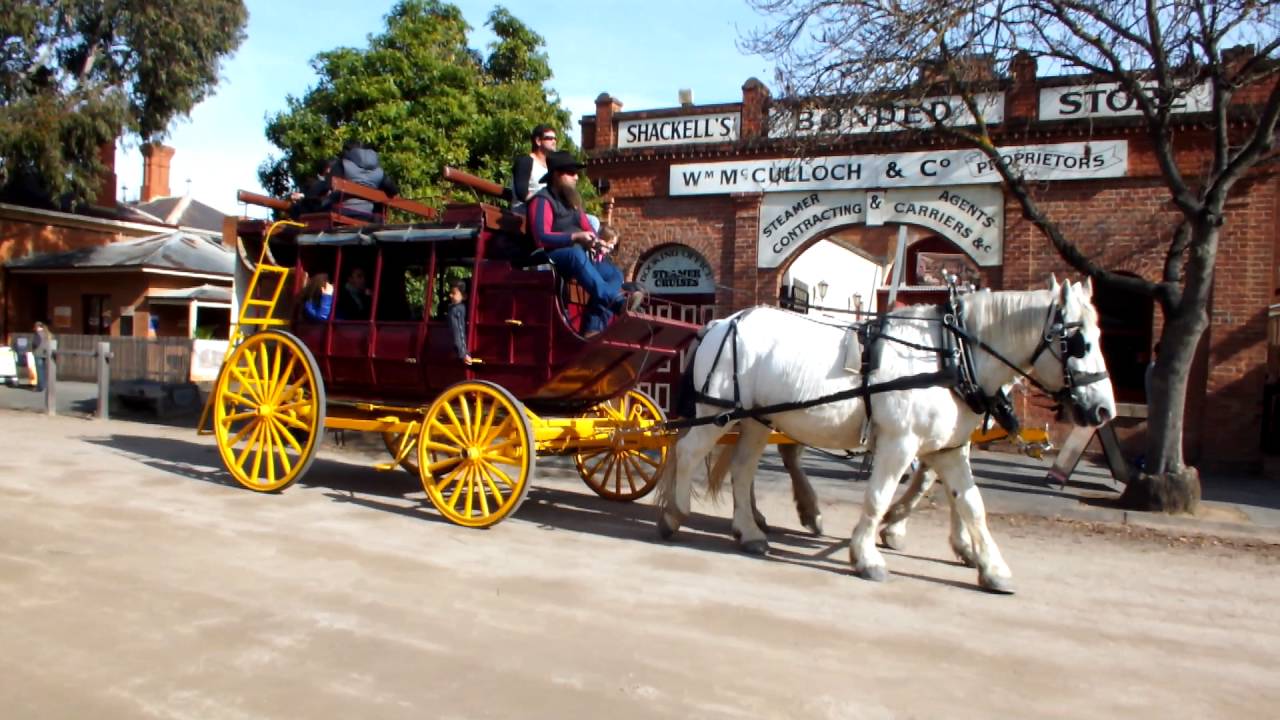 White horses and carriage- Echuca Port- Victoria