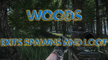 Escape from Tarkov Woods exits spawns and loot