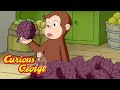 Curious george  the new grocery store  kids cartoon  kids movies s for kids