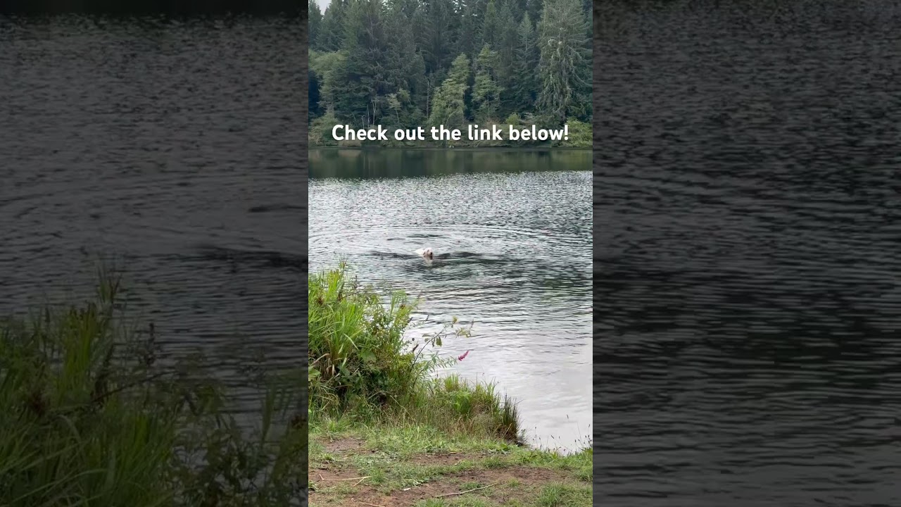 Pawbiotix sponsored! https://www.cppaccess.com/article/831294f0-5c3c-43b7-a4ab-a9366328450b