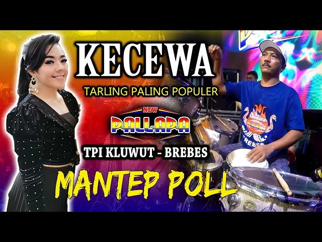 KECEWA - DEVI ALDIVA - LAGU REQUES PENONTON PALING MANTAP - NEW PALLAPA KLUWUT BREBES 2020 class=