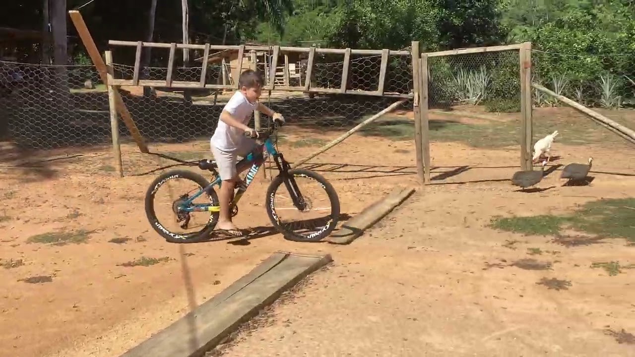 17 de fevereiro de 2026