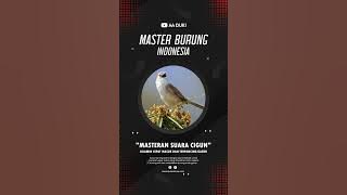 MASTERAN SUARA BURUNG CIBLEK GUNUNG COGUN BREN #aaduki #konslet