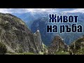 Щуро приключение в дивата Рилска пустош - Орловец | Злия зъб | Голям Купен | Попова капа | Мечит