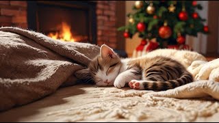 Sleep in Cozy Winter Ambience | Relaxing Purring Cat with Crackling Fire Sounds | Stress Relief