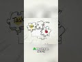 AI Workflow Evolution: Master Your Tools, Not FOMO #shorts