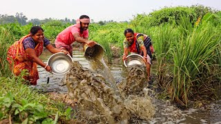 Fishing video || Two women and a man are happily fishing with water in a field canal #cat