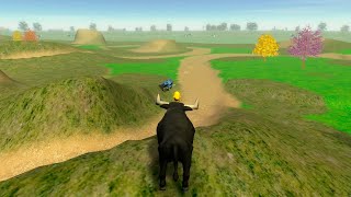 Jugando Con El Toro De La Granja