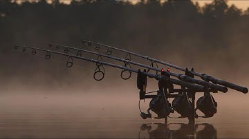 Carp Run COMPILATION 2022! PART 77!