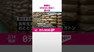 【備蓄米】3月半ばに放出へ  農水省が発表  コメ価格高止まり抑制なるか  #shorts