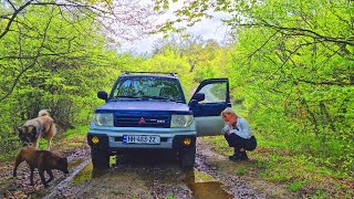 Driving Car In Muddy Road Car In Forest Full Review Off Road