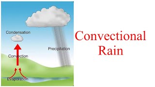 Convectional Rain  How Convectional Rainfall Occurs  What Is 4 O Clock Rain 