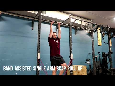 Band Assisted Single Arm Scap Pull Up