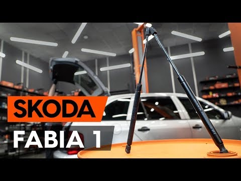 Как заменить амортизатор багажника на SKODA FABIA 1 (6Y5) [ВИДЕОУРОК AUTODOC]