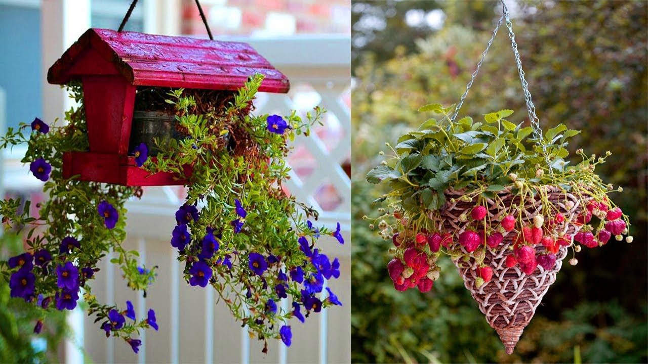 Beautiful Hanging Flower Pots & Container Hanging Plants Garden YouTube