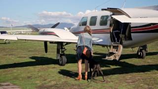 Yarra Valley Aviation Short Promo