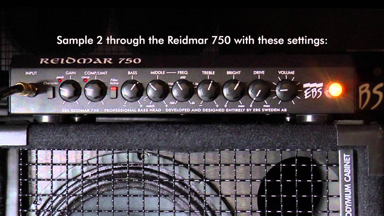 8th Street Music - EBS Reidmar 750