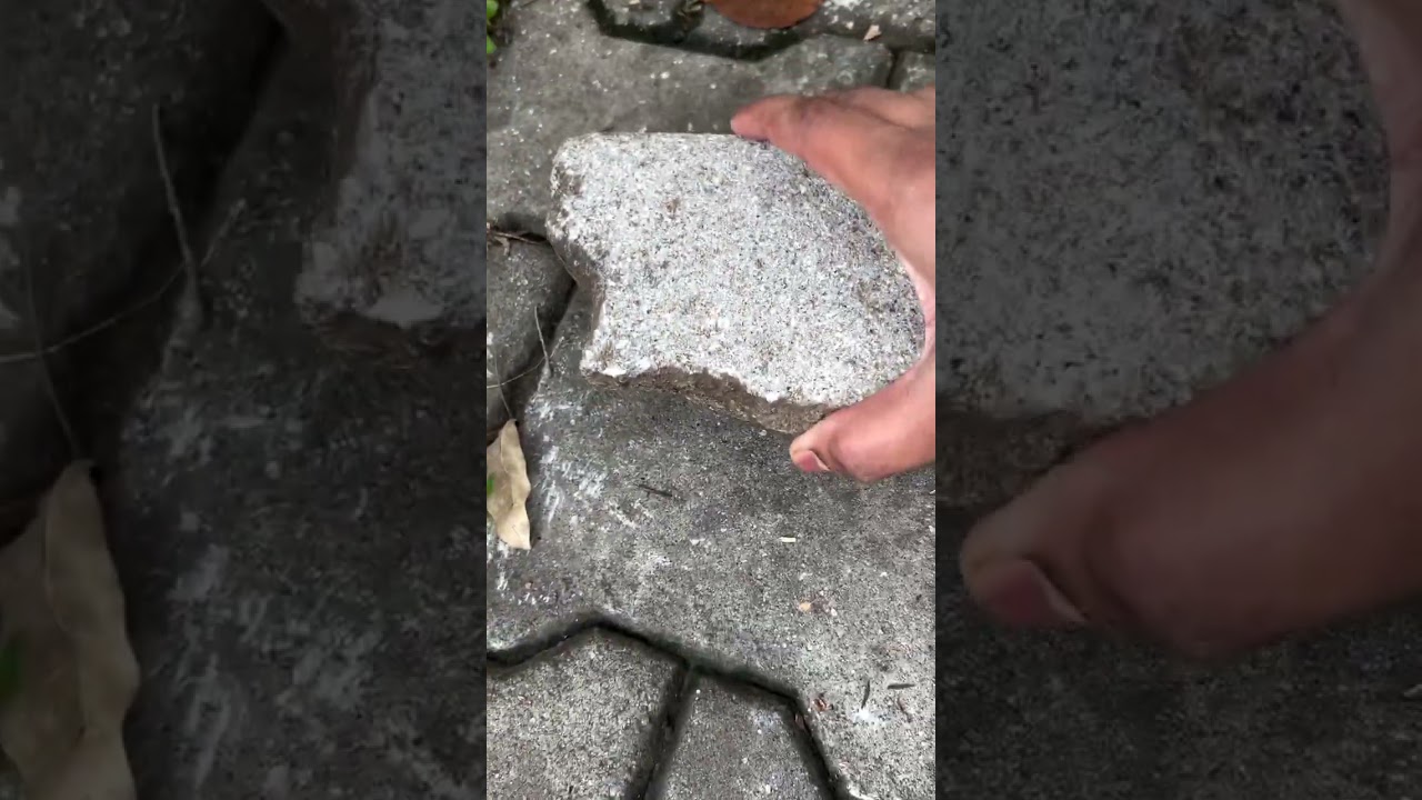 Mystery Money Hunt: Discover Hidden Cash in Mysore!!