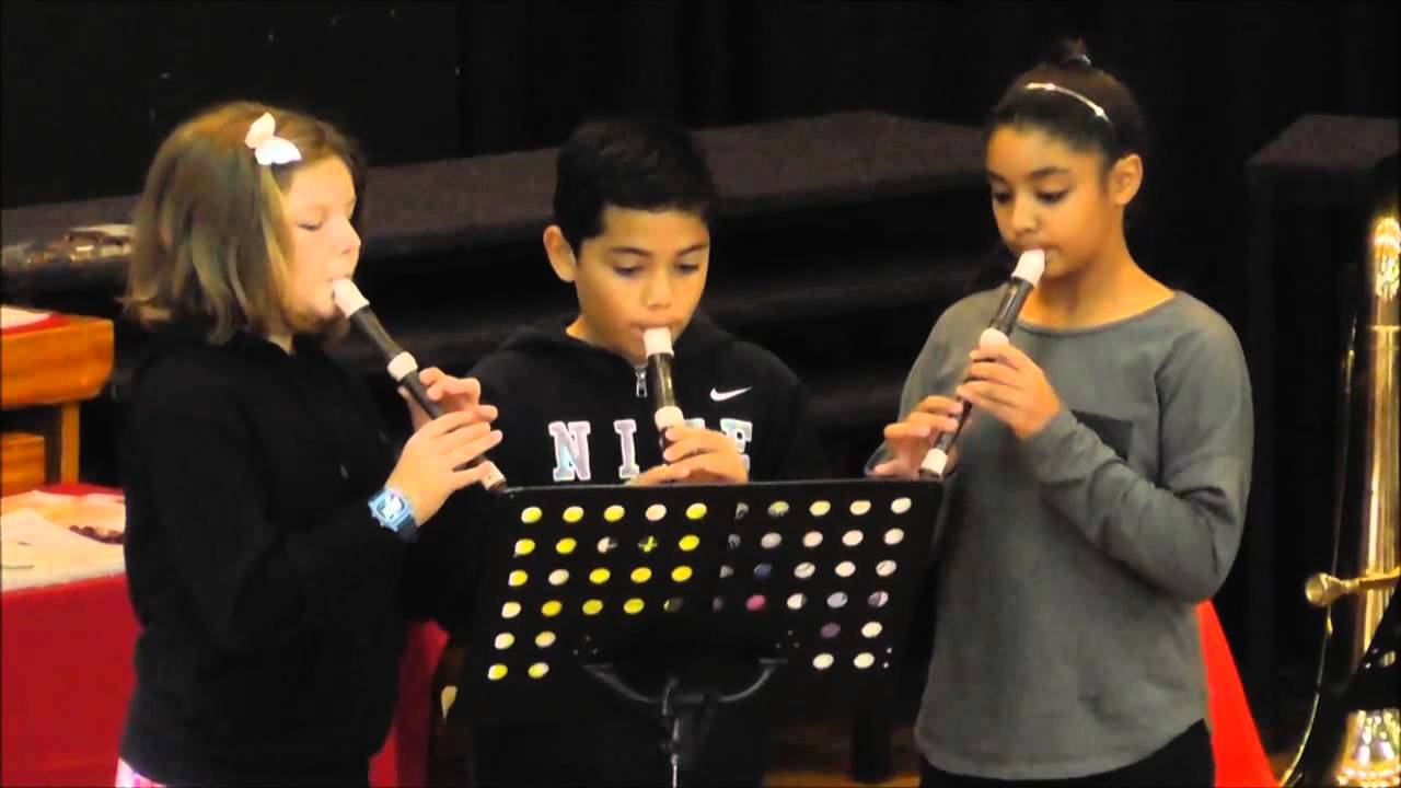 Hudson Park Primary Recorder ensemble