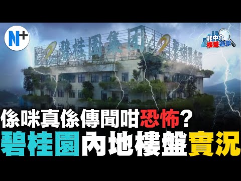 N+【碧桂園再爆】樓盤現場咩環境？爛尾定開工？債務危機！第三方拍攝追擊最新實況#內房#碧桂園#新聞