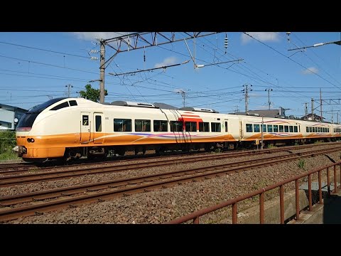 E653系U-101編成 （いなほ🌾） 構内試運転から帰還 #将軍野踏切 〜 #AT構内【2023/06/05㈪午後】 #ATゲート