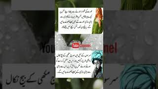 urdu quotes | aurat ki shalwar utarne se pahle nafas par ye laga lo | #shorts #urdustories #viral