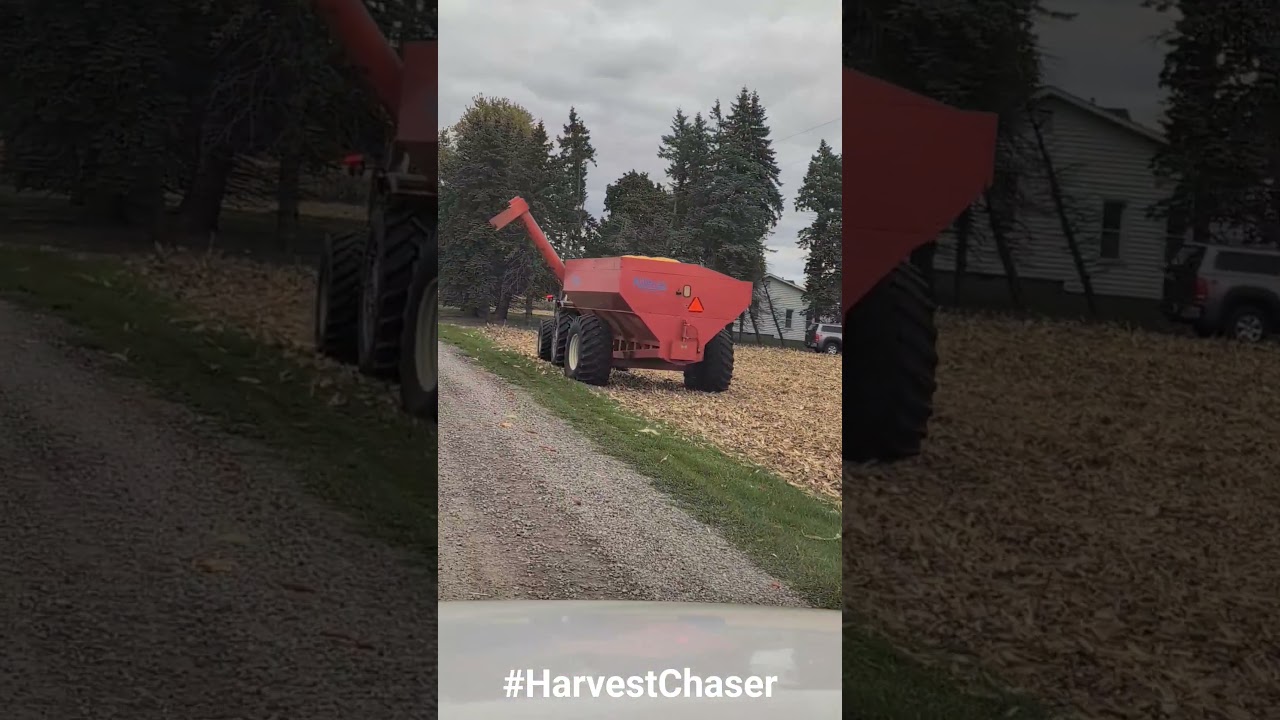 Зерновой прицеп Cool Kill Brothers - CASE IH - Harvest 2025 