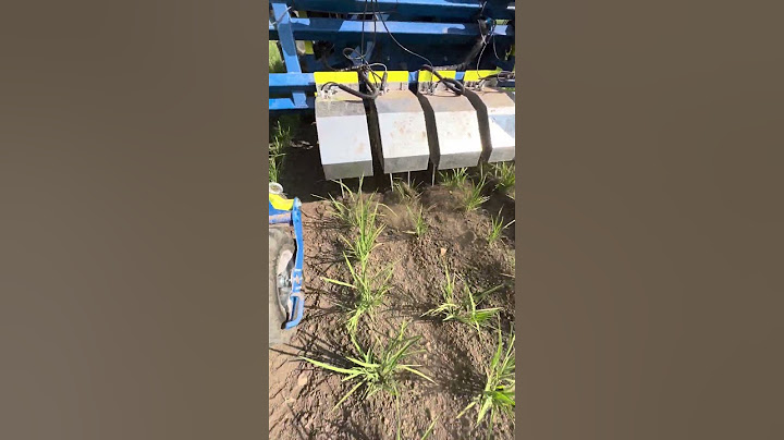 Artificial Intelligence Cultivator in Rice / Austria 2023