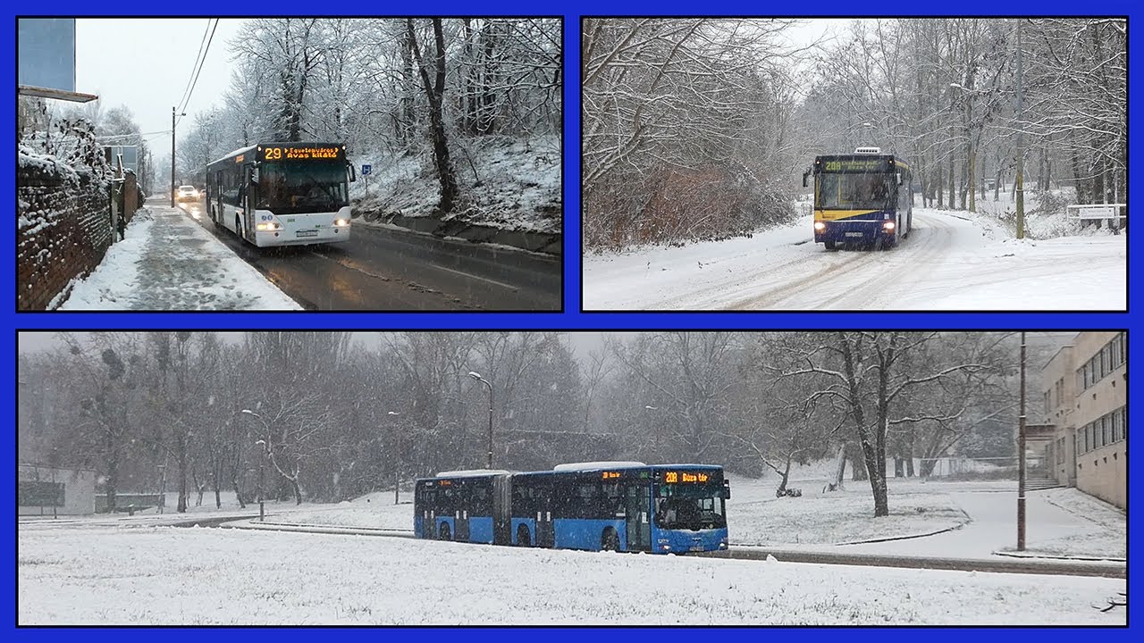 Местные автобусы в заснеженном Мишкольце, Венгрия - декабрь 2023 г.