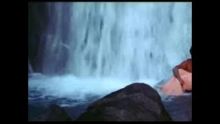 Mallika Sherawat and Himanshu Malik Scene - Khwahish