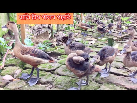 ভিডিও: বাইনারী বিকল্প: নতুনদের কাছ থেকে বাস্তব পর্যালোচনা। বাইনারি অপশন আসলে কি?