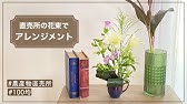 ドラセナの葉のユニークな使い方the Unique Technique Of The Leaf Youtube ドラセナの葉のユニークな使い方the Unique Technique Of The Leaf Youtube