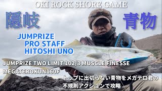 メガテロ君160Fでトップに出切らない青物を攻略