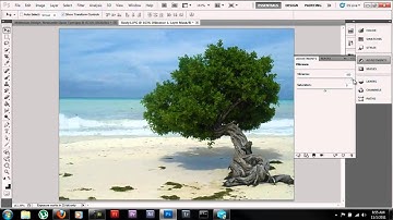 Adobe Photoshop CS5 Tutorial Improving photos through adjustment layers