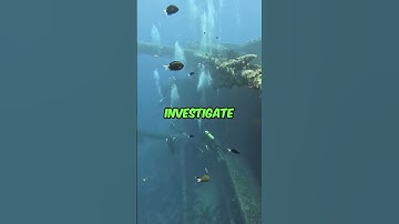 Part 2 | This is why nasa stopped exploring the ocean #nasa #ocean #exploration #creatures #depths