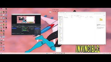 How To Get The Invincible Mod In Undefeated