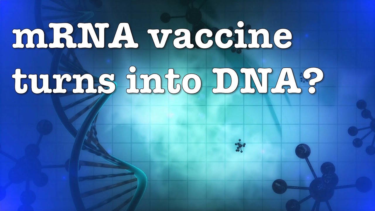 Can mRNA vaccine turns in DNA? Did this article get adequate peer review?