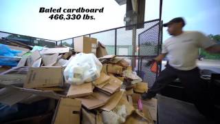 Our Commitment to Recycling | Busch Gardens Tampa Bay