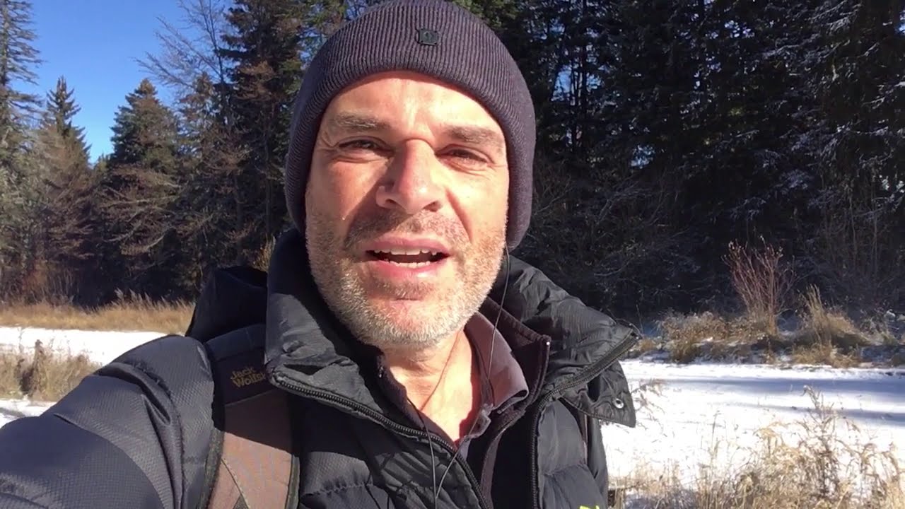 Immobilie kaufen und Makler-Provision sparen oder zurückbekommen: Widerruf macht es möglich