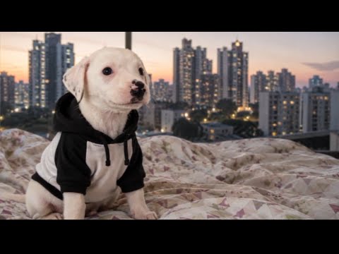 [Playlist] The playlist you’ve been looking for | R&B • Indie • Lofi