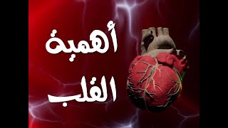 أهمية القلب في 9 نقاط حلقة (1)